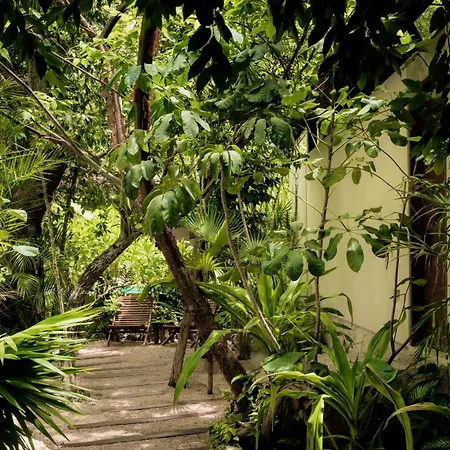 Jungle Keva Tulum Villa Lodges & Venue-2